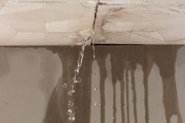 Professional Burst Pipe Cleanup technician working in Roan Mountain, TN